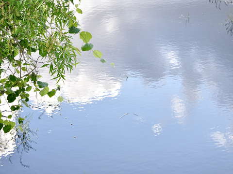 Sky in the water