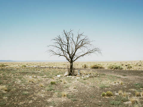 Desert solitude