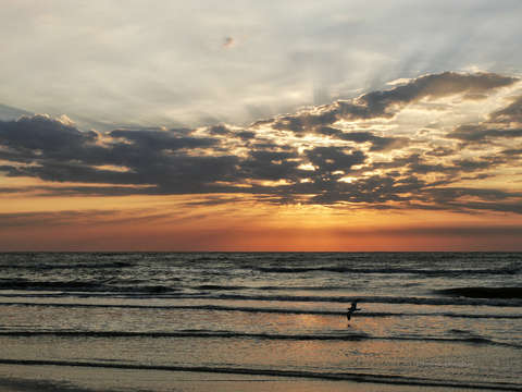 Sail at dawn