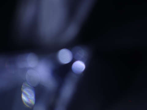Reflection 5964