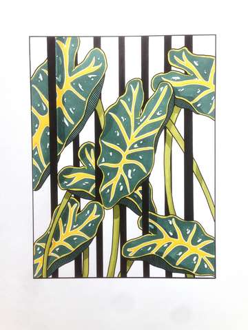 Tropical study