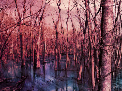 Cool shallows