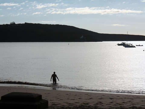 Australia balmoral beach single swimmer