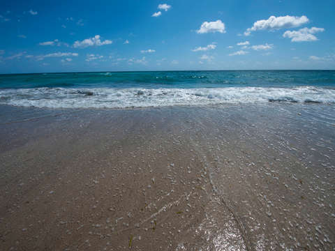 Hollywood beach