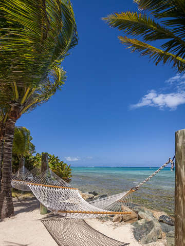 Hammock on the beach bvi