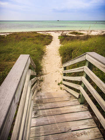 Beach path 2