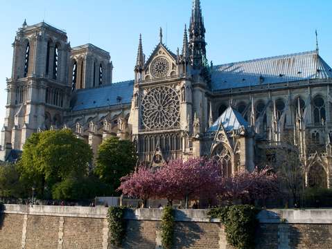 Notre dame cathedral