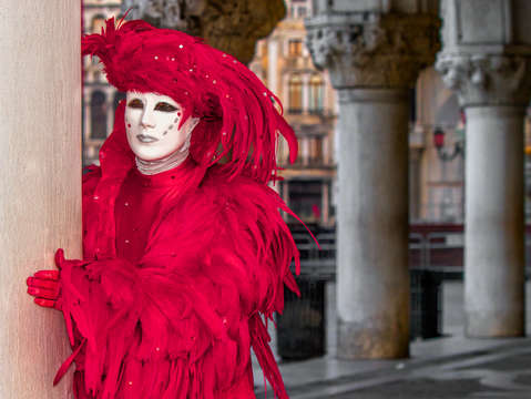 Red feathers