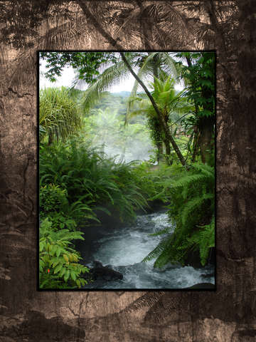 Hot springs and ferns