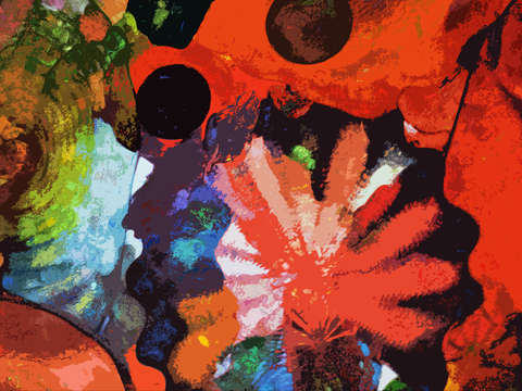 Illuminating colors