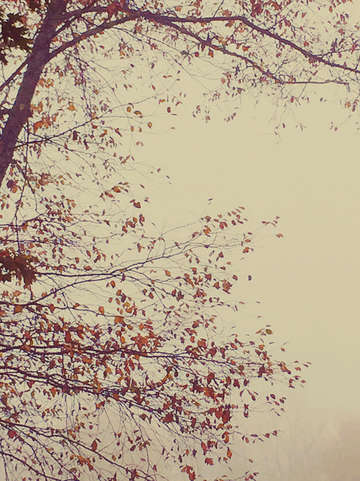 On the edge of autumn