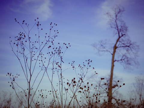 Autumn twilight