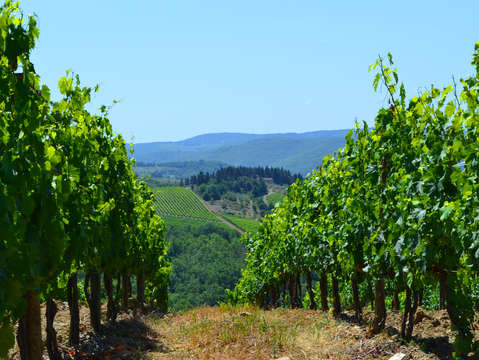 Hillsides of tuscany