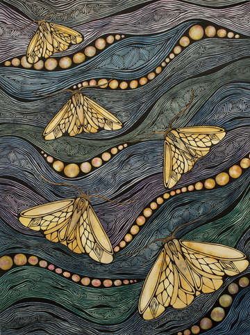 Moths 2