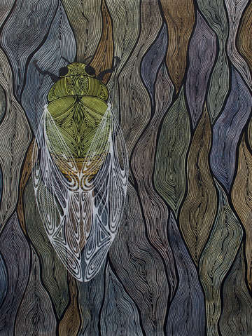 Cicada