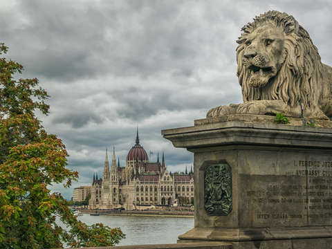 Hungarian lion