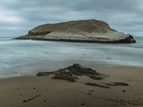 Greyhound rock