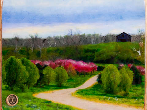 Spring has sprung