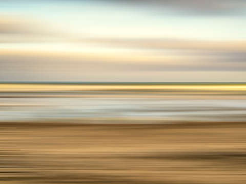 A torrey blur