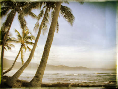 Tropical beach 4
