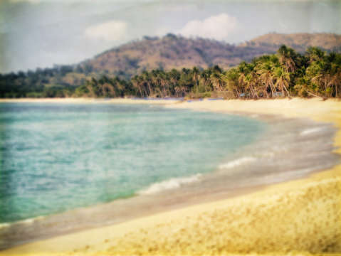 Tropics