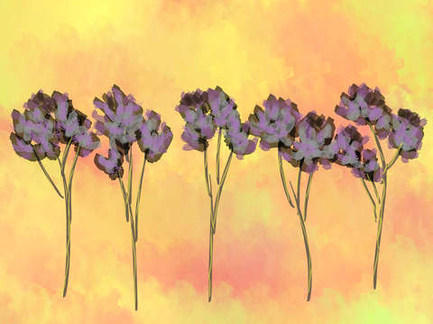 Flowers in a row