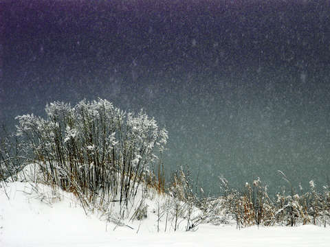 Shoreline snowfall