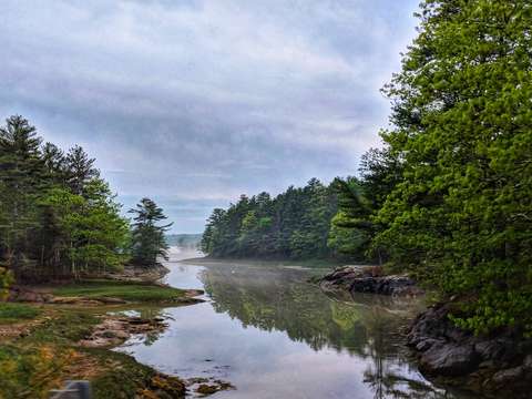 Wild cat creek