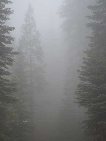 Yosemite mist