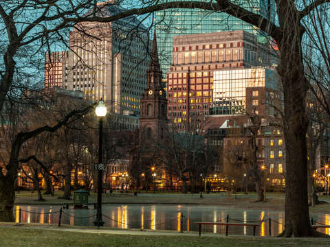 Dawn boston garden