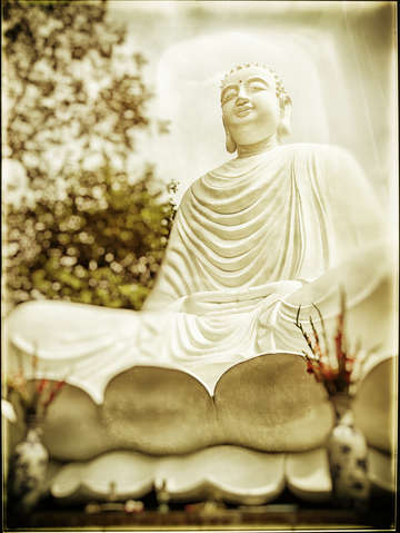 Buddha 7