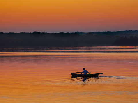 Back to shore