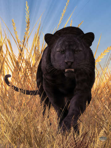 Panther
