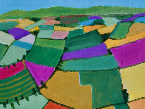 Countryside fields