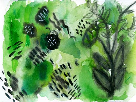 Seaweed 2