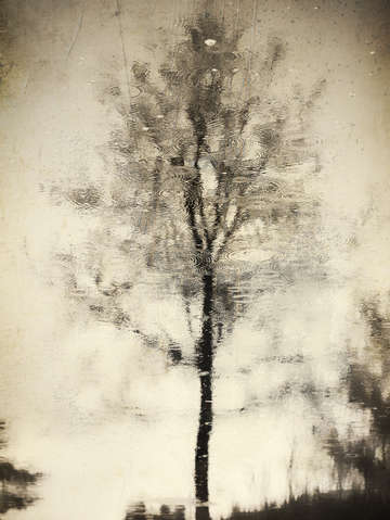 Reflection i