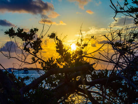 Key west sunrise