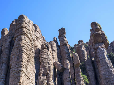 Organ pipes 1