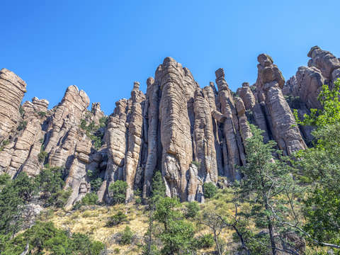 Organ pipes 2