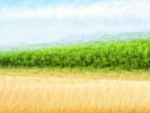 Peace in the meadow