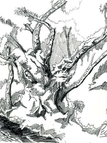 Trees 9