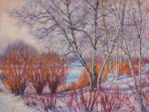 Winter birches and red willows