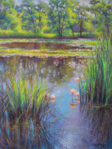 Lily pool 1