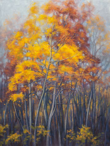 Autumn forest 2