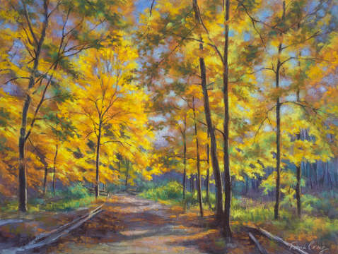 Nature trail turn of autumn