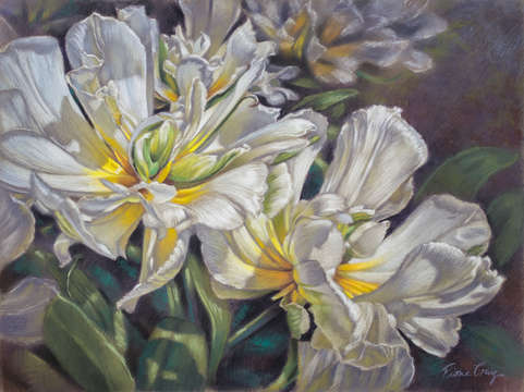 Tulipomania exotic emperor