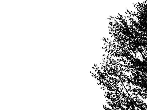 Inkblot 21