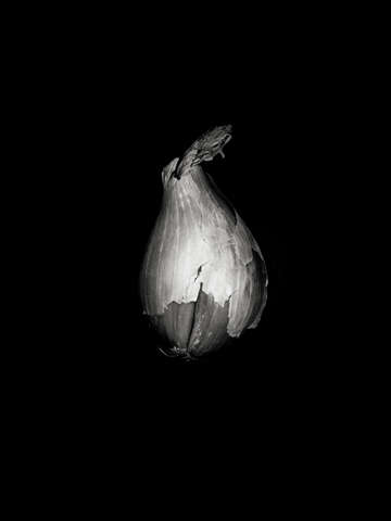 Breakup shallot