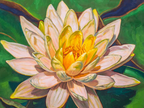 Water lily study 2