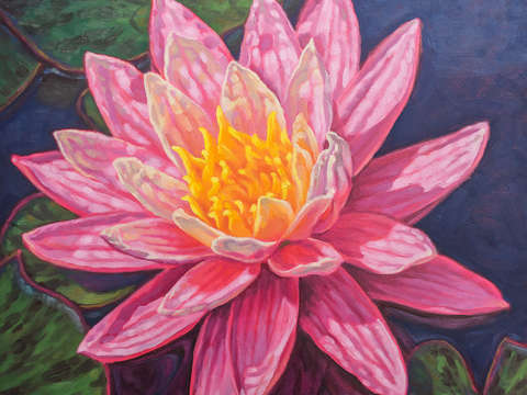 Water lily study 5